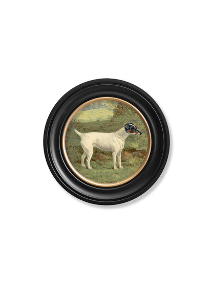 c.1881 Terriers – Round Frame styled view – Leya Buster Interiors