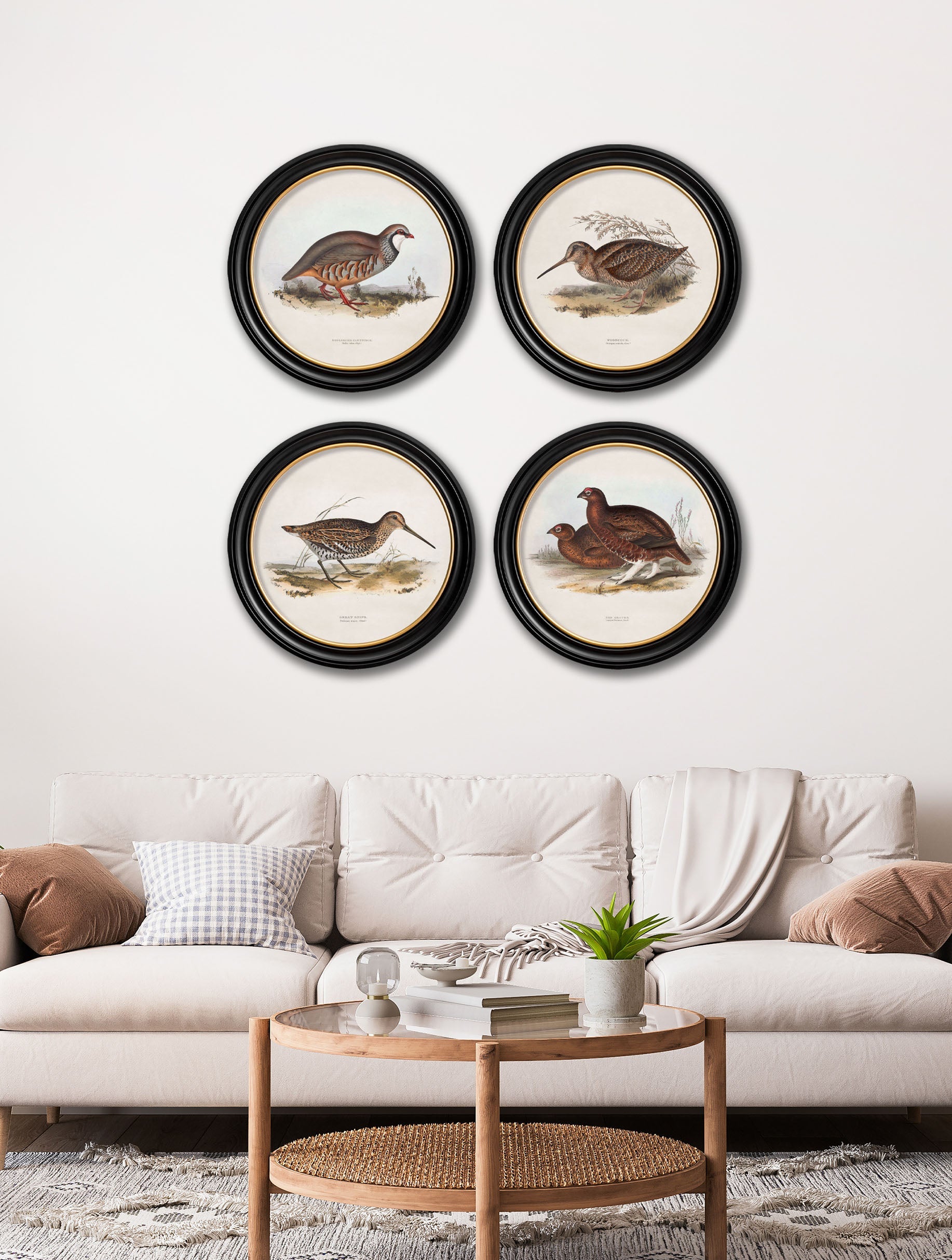 c.1837's British Game Birds – Round – framed wall art at Leya Buster Interiors