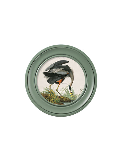 c.1838 Audubon's Great Blue Heron in Green Frame styled view – Leya Buster Interiors