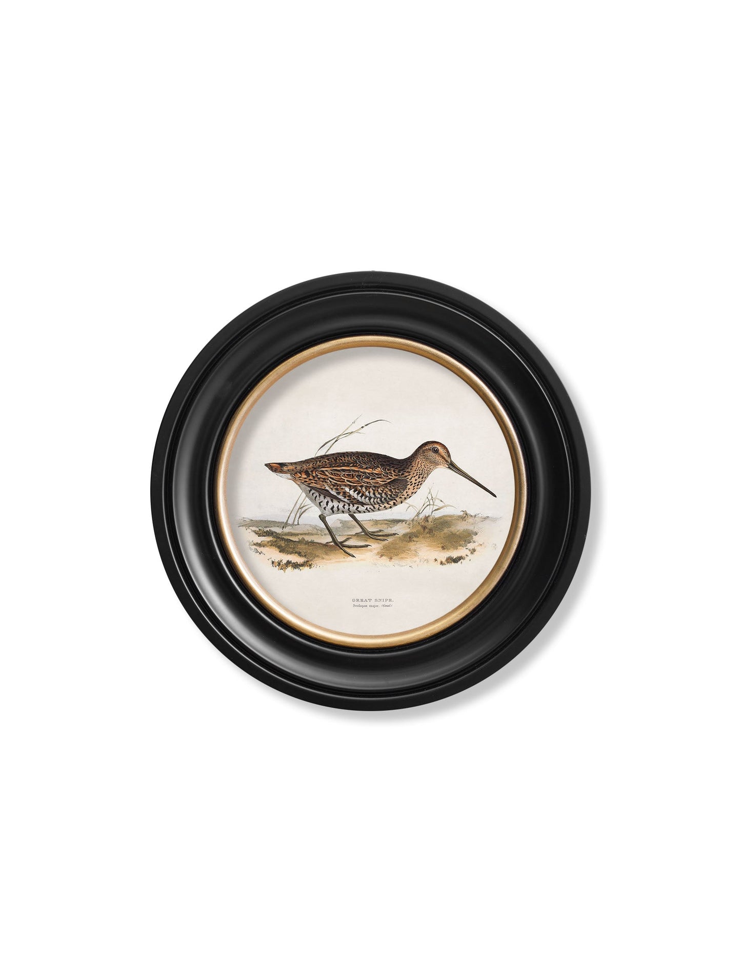 c.1837's British Game Birds – Round styled view – Leya Buster Interiors