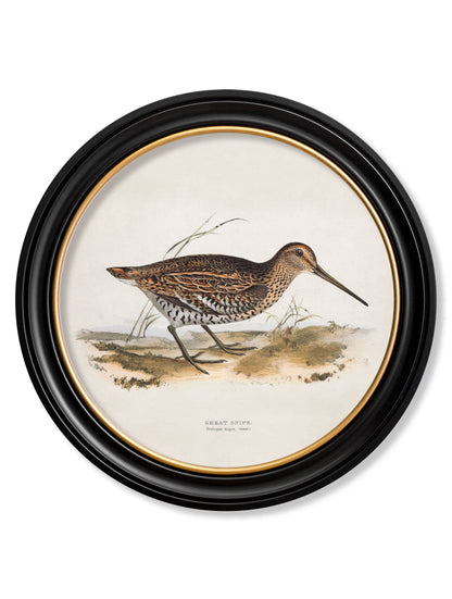 c.1837's British Game Birds – Round styled view – Leya Buster Interiors