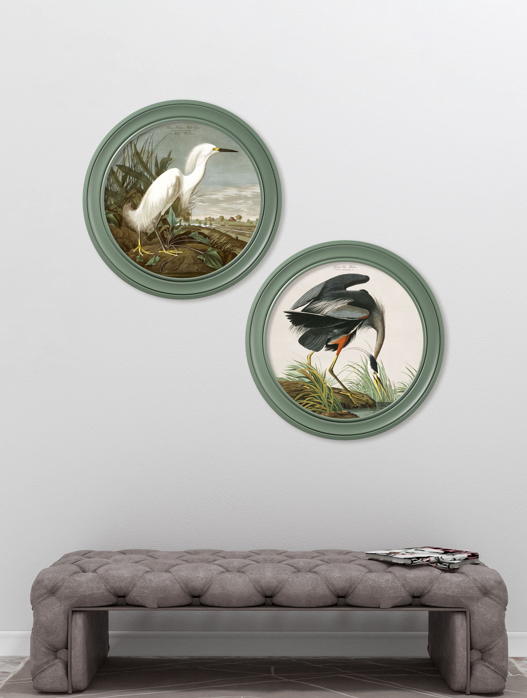 c.1838 Audubon's Snowy Heron in Green Frame – framed wall art at Leya Buster Interiors