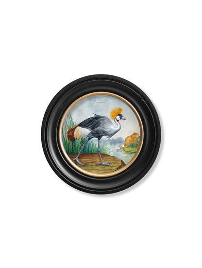 Audubon Style Cranes in Round Frames styled view – Leya Buster Interiors