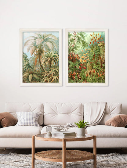 C.1904 Study Of Ferns Print – framed wall art at Leya Buster Interiors