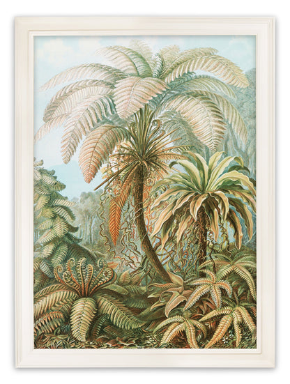 C.1904 Study Of Ferns Print styled view – Leya Buster Interiors