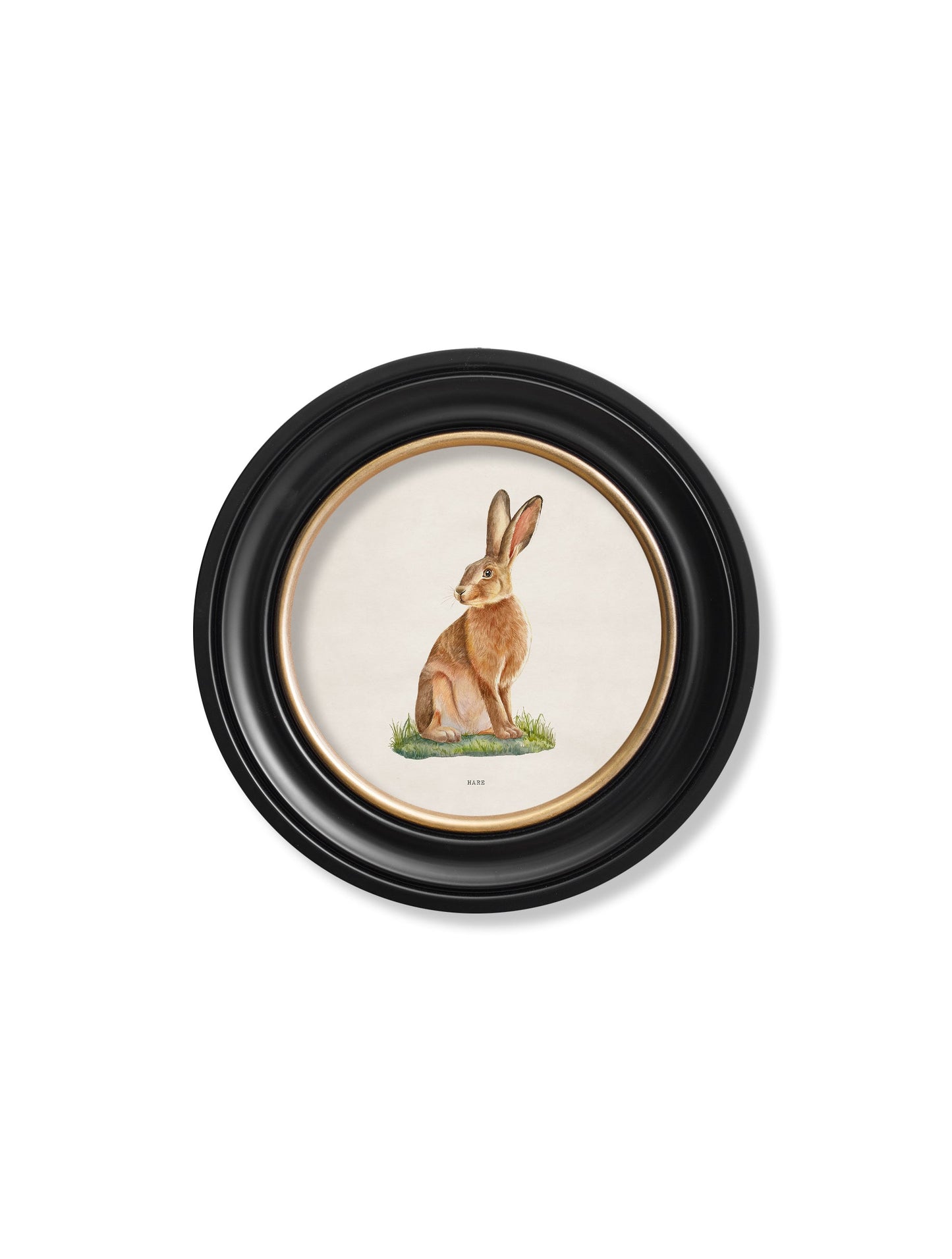 Hare – Round Frame styled view – Leya Buster Interiors