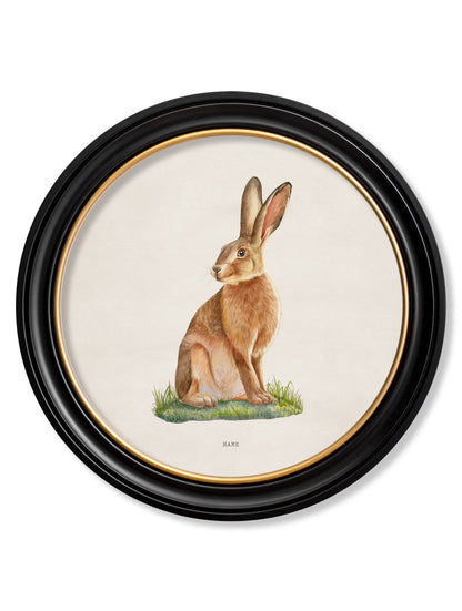 Hare – Round Frame detail – Leya Buster Interiors