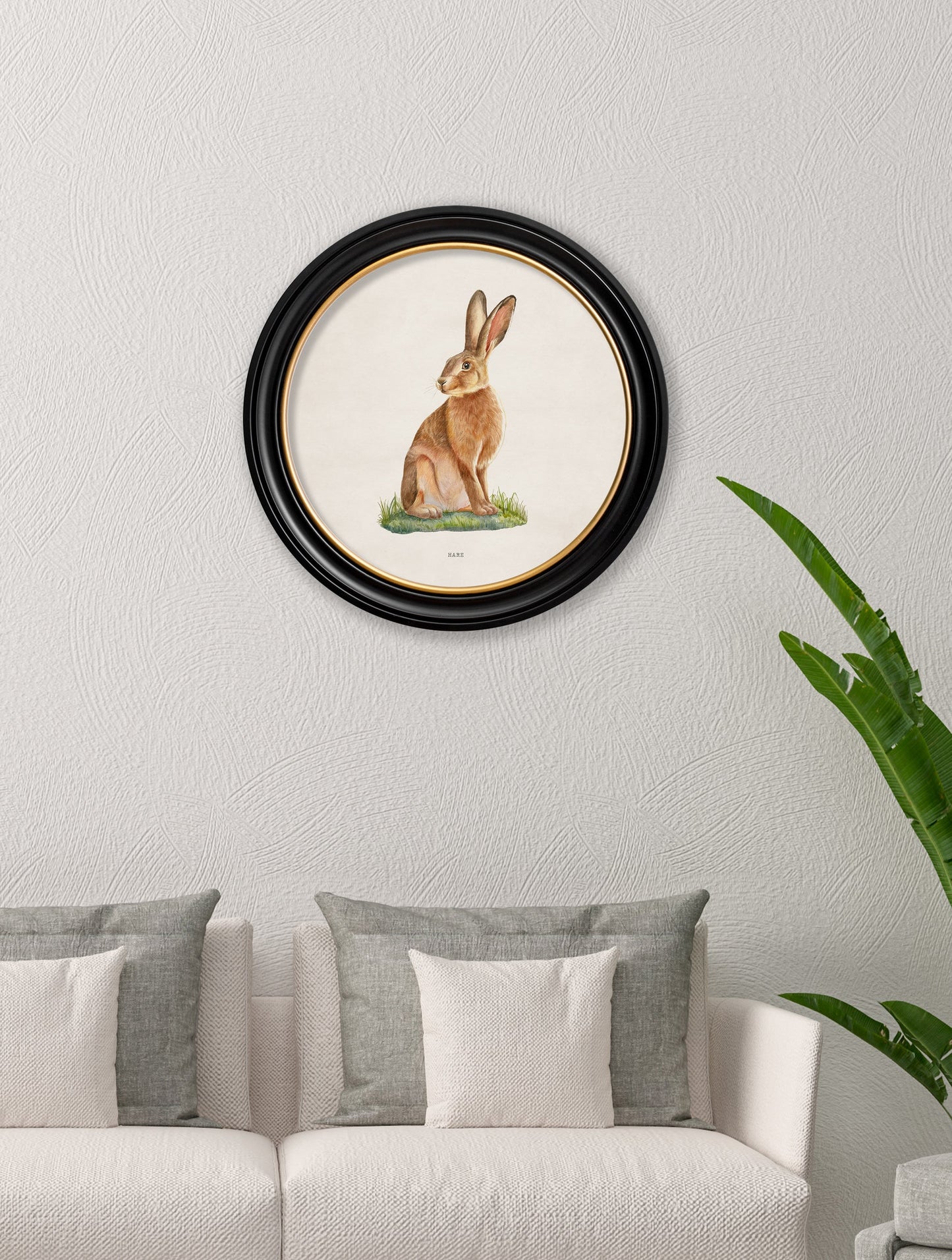 Hare – Round Frame – framed wall art at Leya Buster Interiors