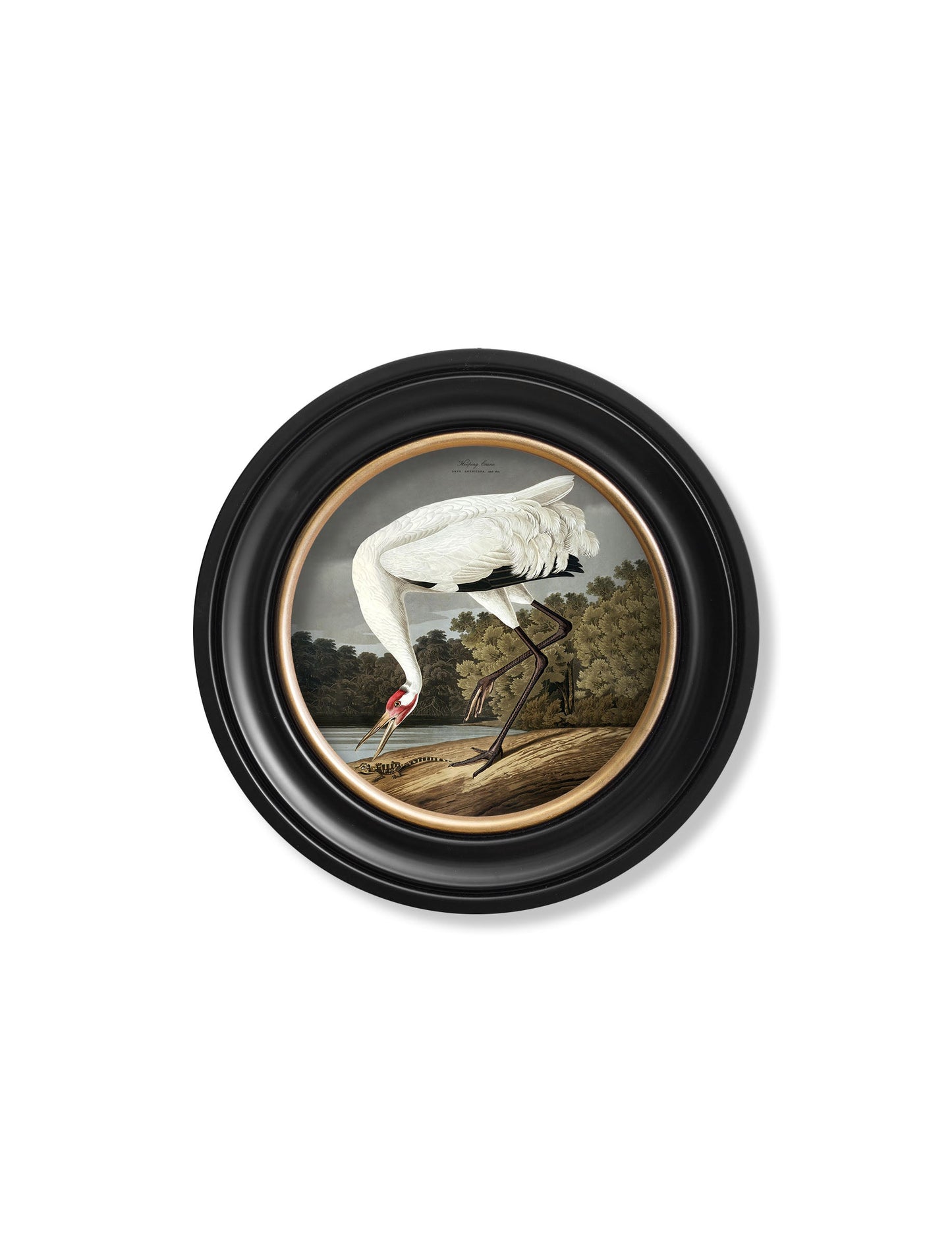c.1838 Hooping Crane in Round Frame styled view – Leya Buster Interiors