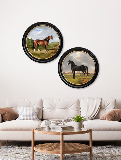 c.1840 Horses – Round Frame – framed wall art at Leya Buster Interiors