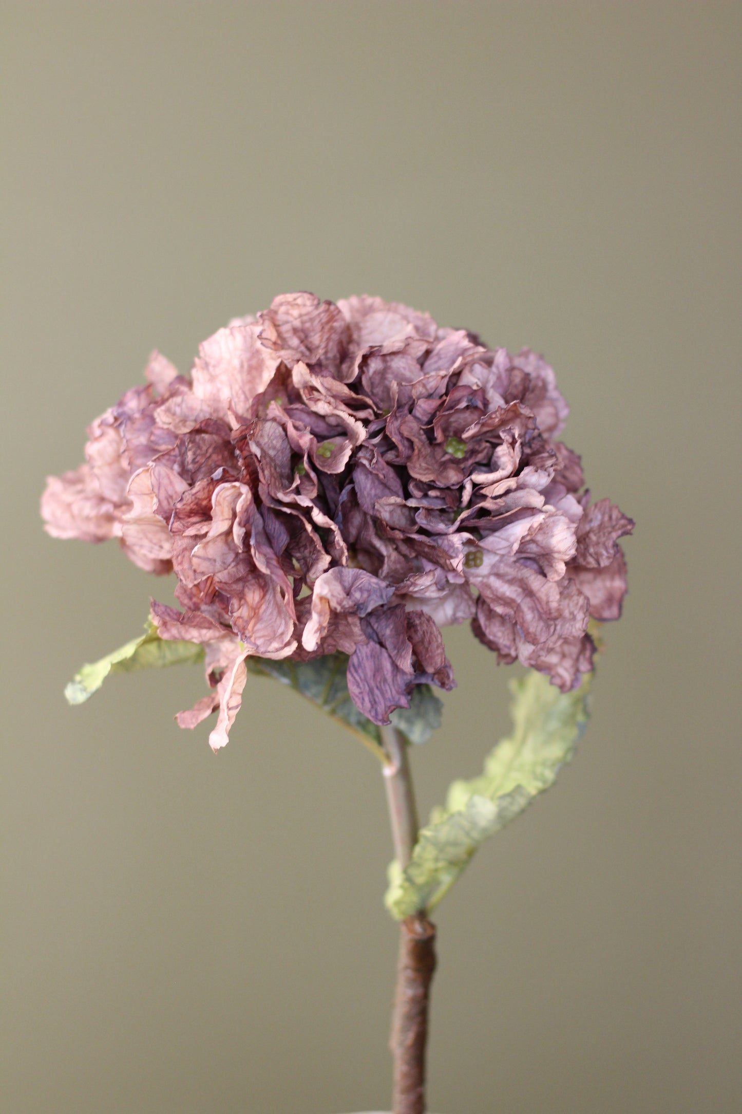 Rustic Hydrangea Stem – Mocha