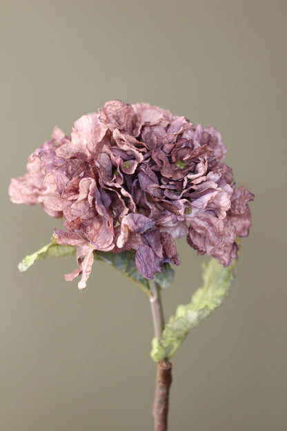Rustic Hydrangea Stem – Mocha