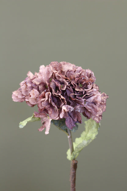 Rustic Hydrangea Stem – Mocha