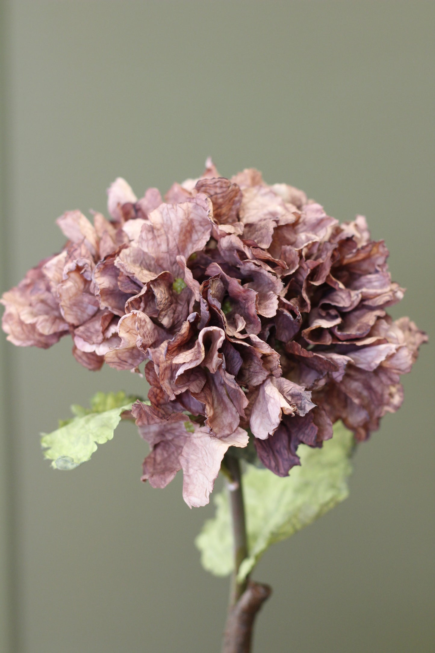 Rustic Hydrangea Stem – Mocha