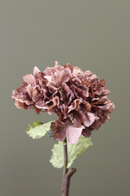 Rustic Hydrangea Stem – Mocha