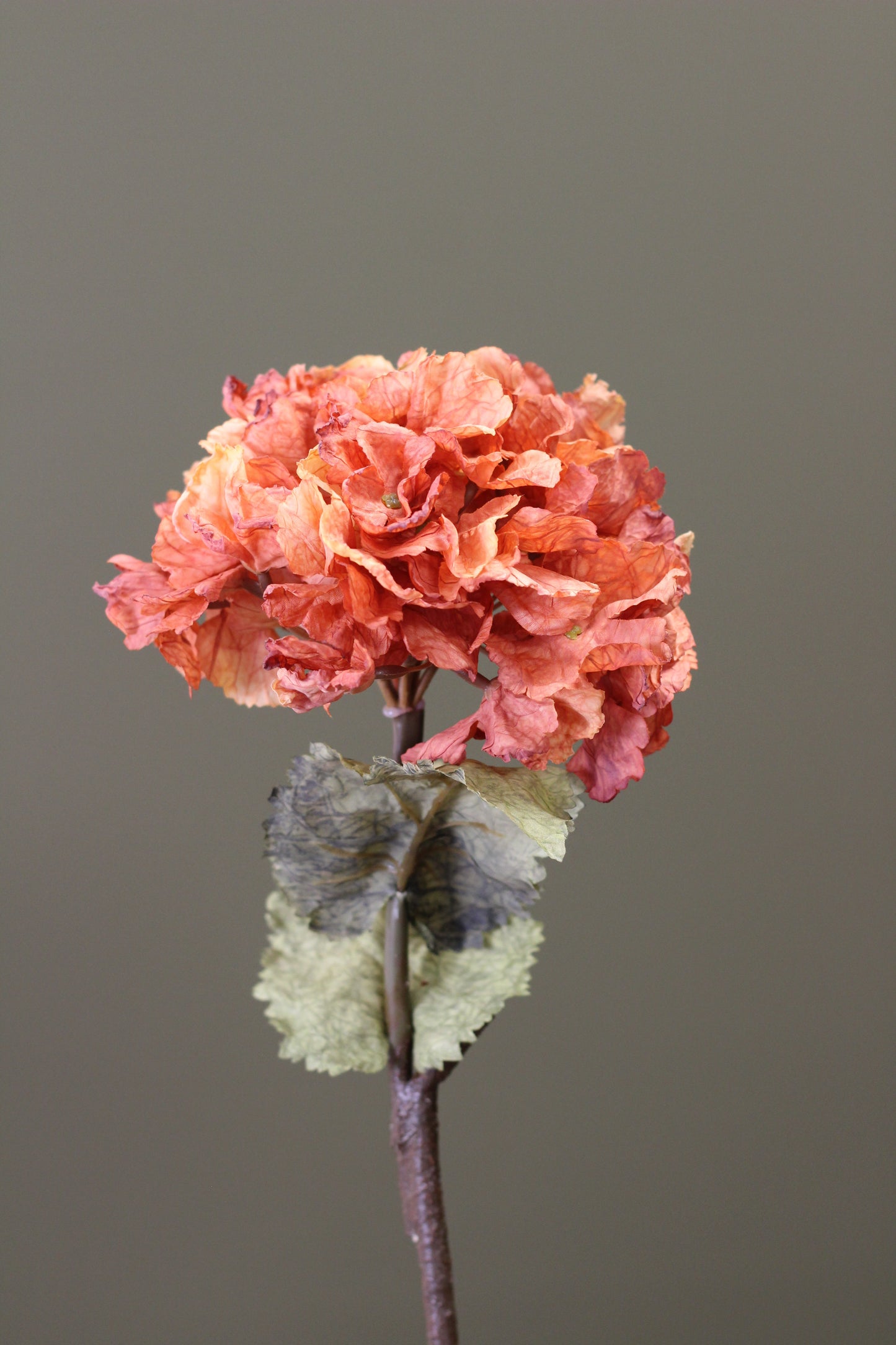 Rustic Hydrangea Stem – Burnt Orange