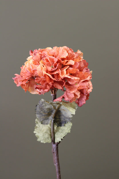 Rustic Hydrangea Stem – Burnt Orange