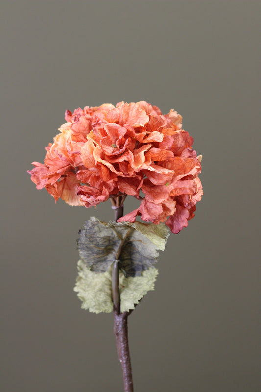 Rustic Hydrangea Stem – Burnt Orange