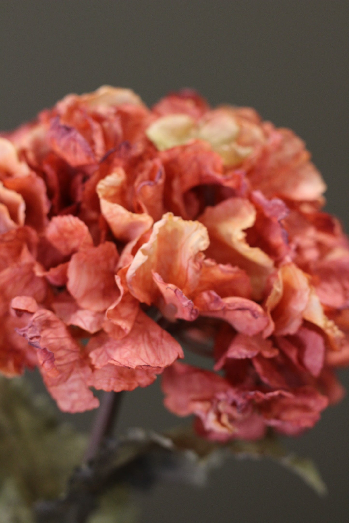 Rustic Hydrangea Stem – Burnt Orange