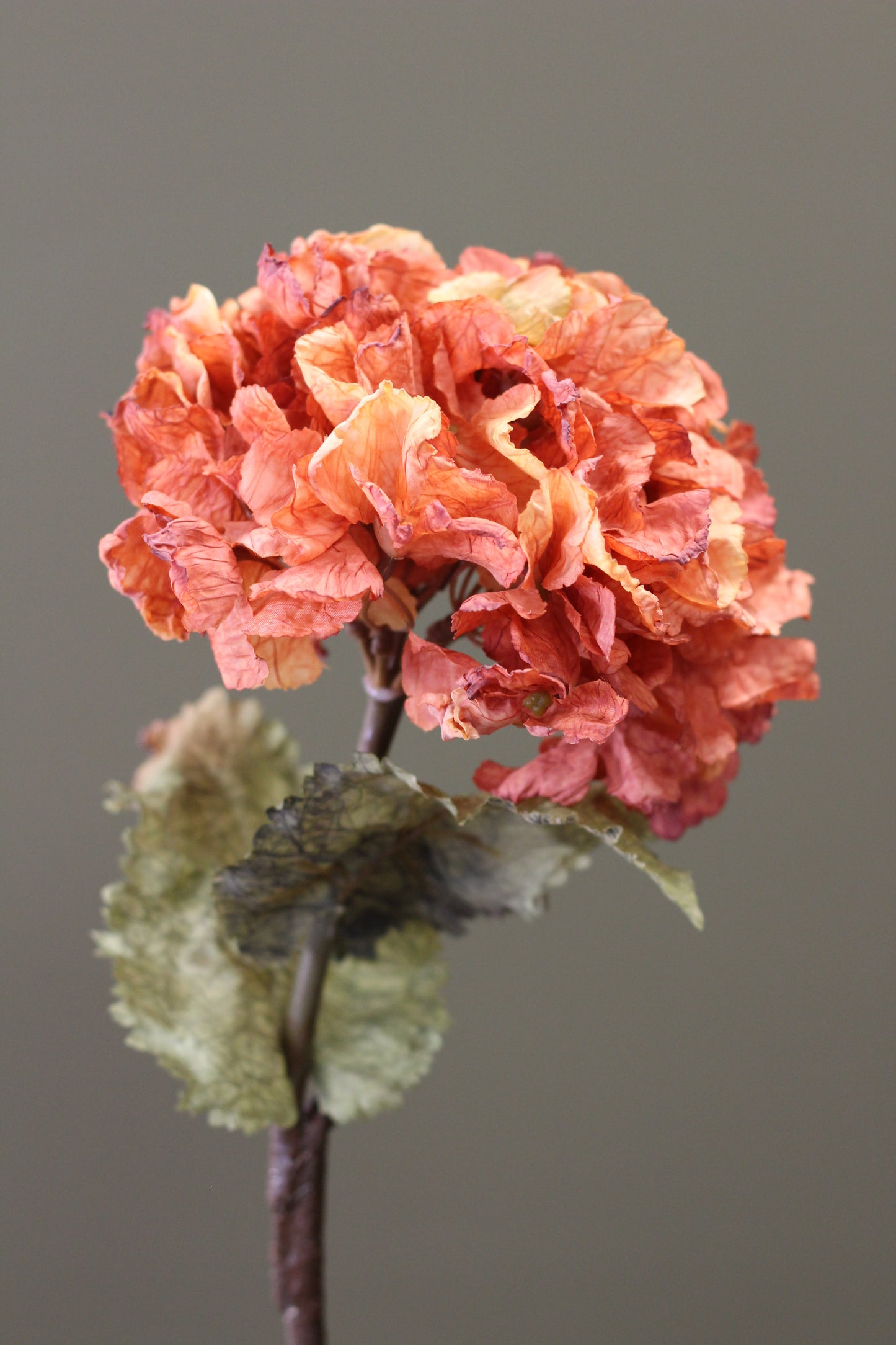 Rustic Hydrangea Stem – Burnt Orange