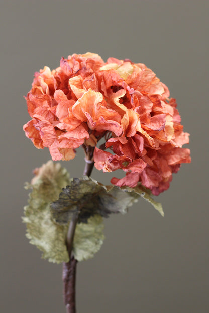 Rustic Hydrangea Stem – Burnt Orange