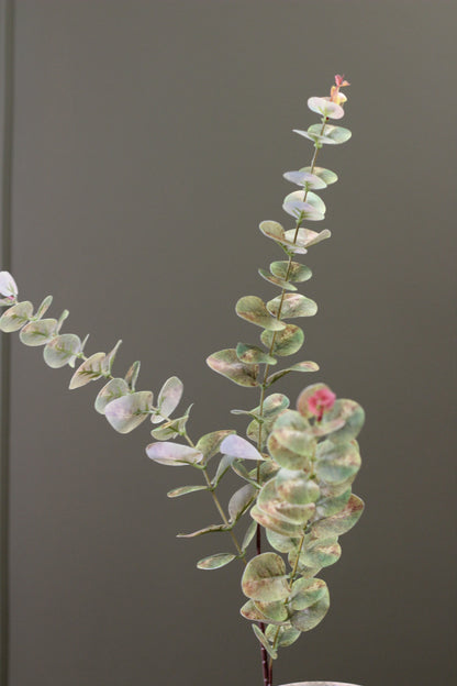 Weathered Sage Eucalyptus Stem