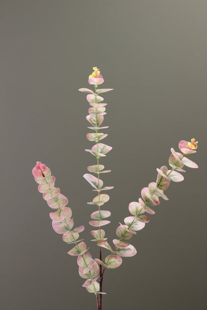 Blush & Sage Eucalyptus Stem