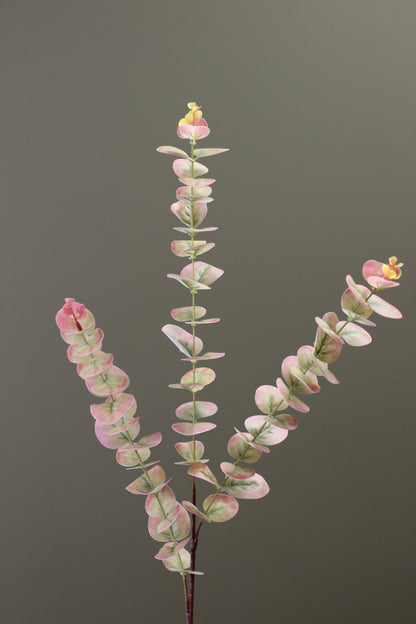Blush & Sage Eucalyptus Stem