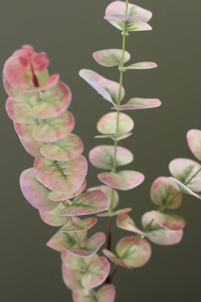 Blush & Sage Eucalyptus Stem