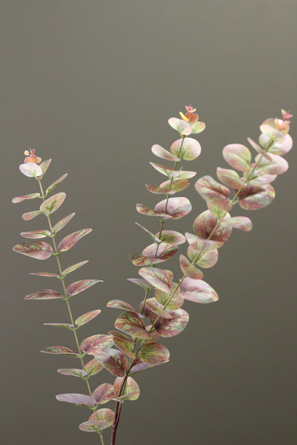 Olive & Umber Eucalyptus Stem