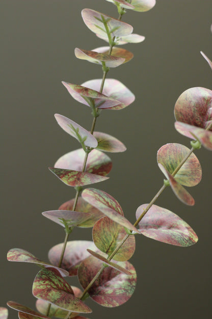 Olive & Umber Eucalyptus Stem