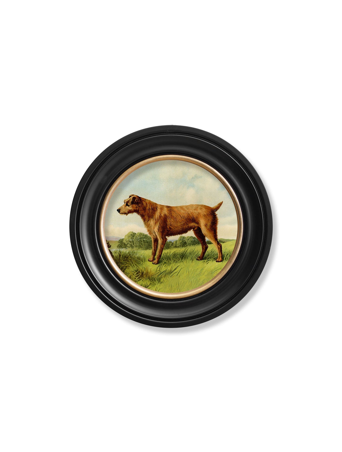 c.1881 Terriers – Round Frame styled view – Leya Buster Interiors