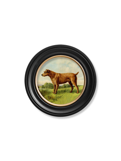 c.1881 Terriers – Round Frame styled view – Leya Buster Interiors