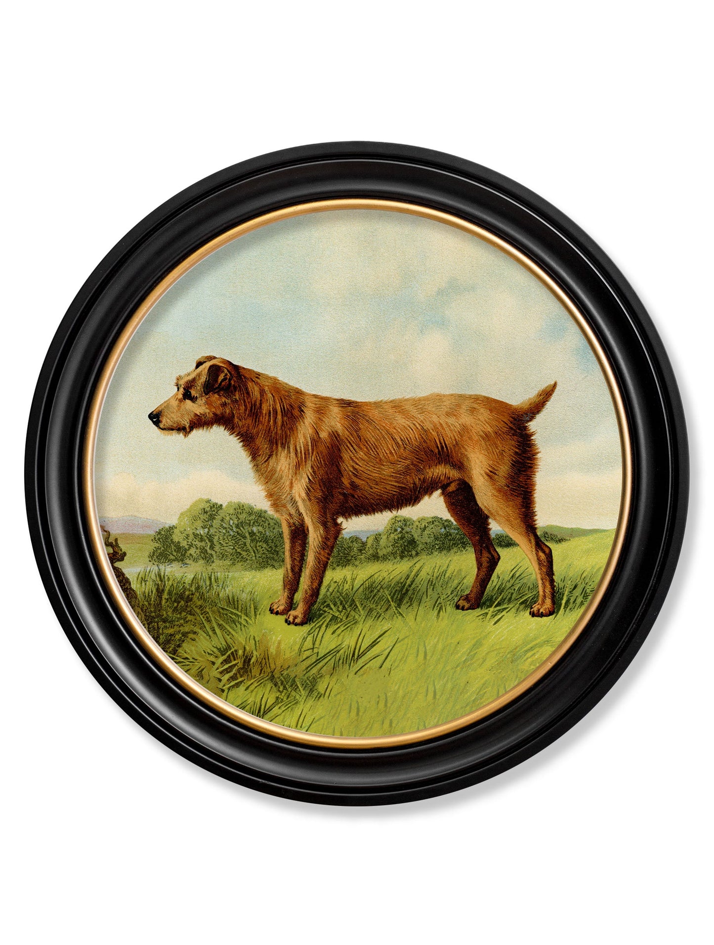 c.1881 Terriers – Round Frame styled view – Leya Buster Interiors
