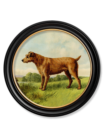 c.1881 Terriers – Round Frame styled view – Leya Buster Interiors
