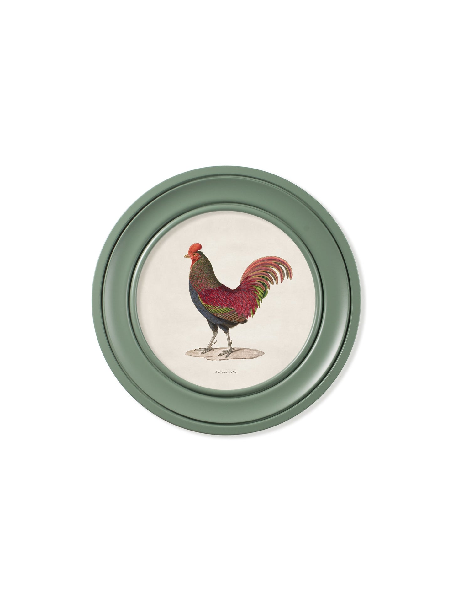 c.1838 Junglefowl in Round Frames Green styled view – Leya Buster Interiors
