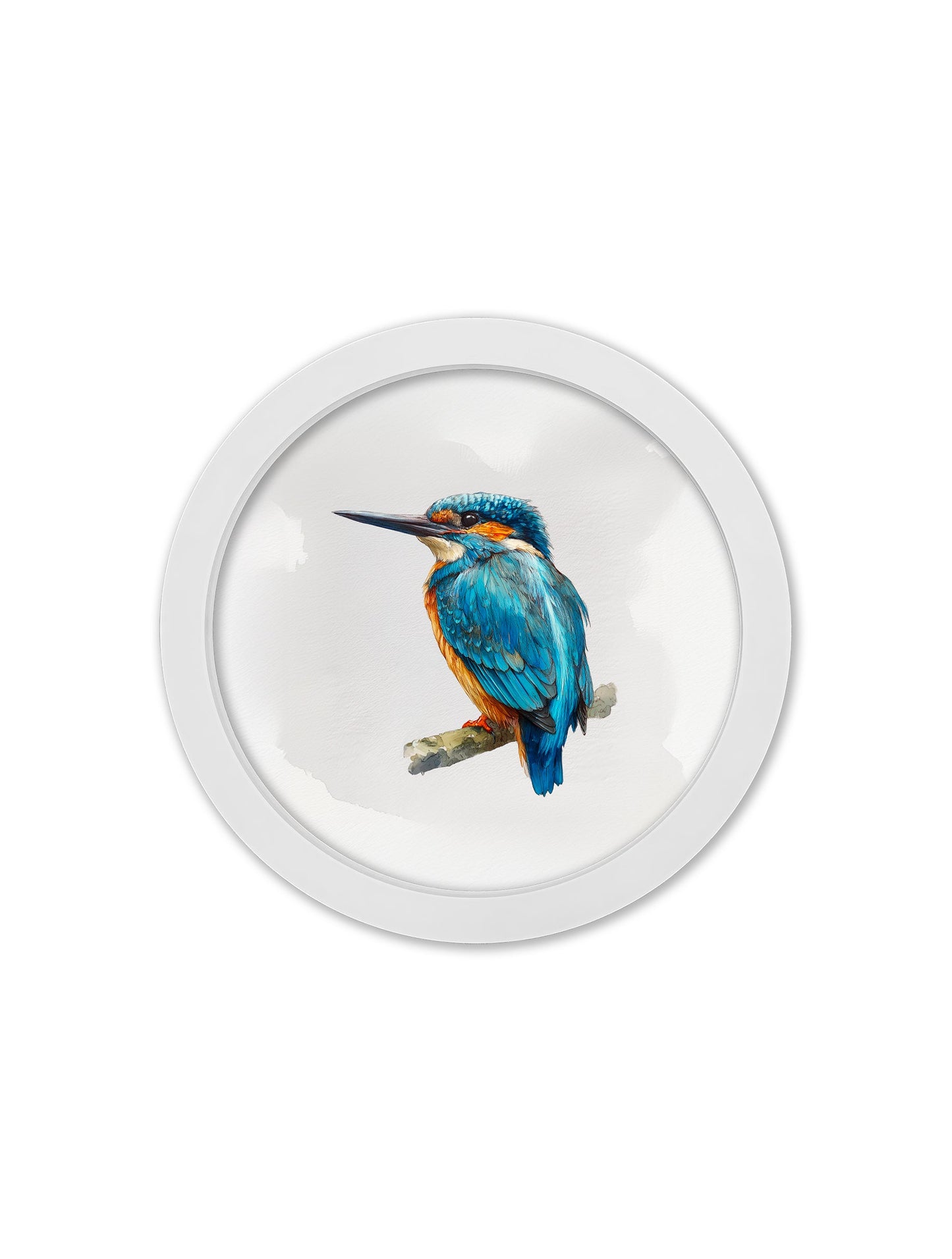 Watercolour Kingfishers – 30cm White Round Box Frame styled view – Leya Buster Interiors