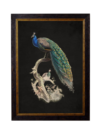 c.1847 Peacocks – Dark styled view – Leya Buster Interiors