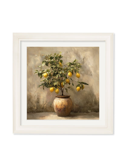 Mediterranean Lemon Tree – Cream Hurstwood Square Frame detail – Leya Buster Interiors