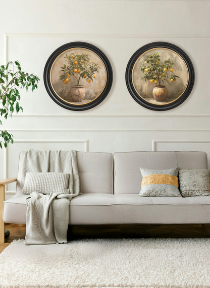 Mediterranean Lemon Tree – Oxford Round Frame styled view – Leya Buster Interiors