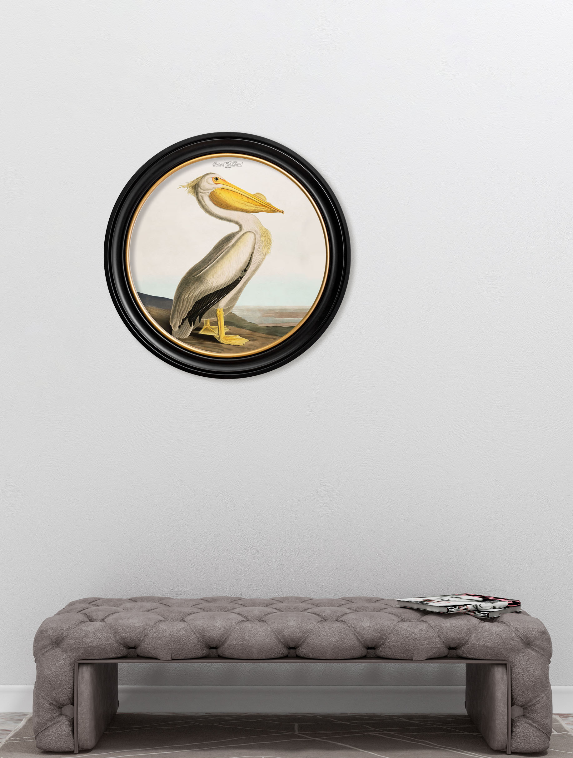 c.1838 Audubon's Pelican – Light – Round Frame – framed wall art at Leya Buster Interiors