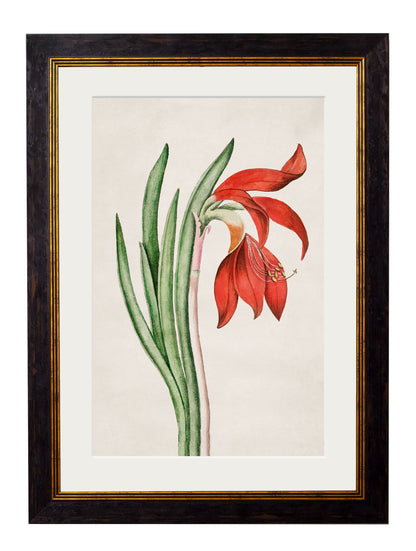 c.1780 Flowering Plants styled view – Leya Buster Interiors