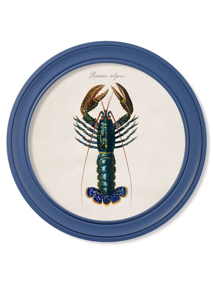 c.1876 Marine Lobster in Round Frames Blue detail – Leya Buster Interiors
