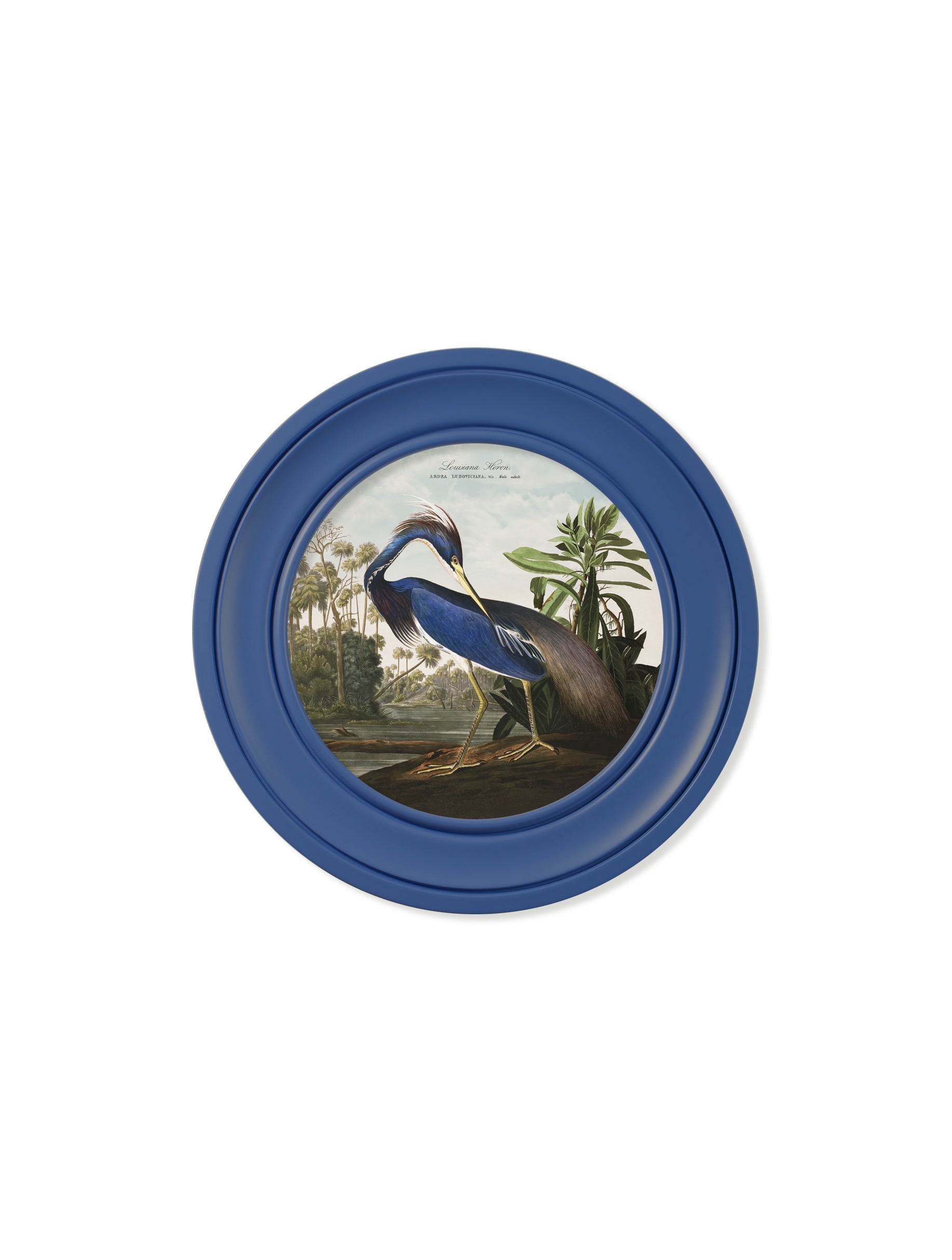 c.1838 Audubon's Louisana Heron in Blue Frame styled view – Leya Buster Interiors