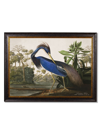 c.1838 Audubon's Herons styled view – Leya Buster Interiors