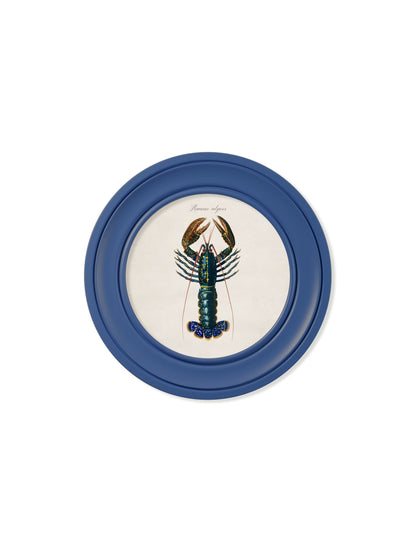 c.1876 Marine Lobster in Round Frames Blue – framed wall art at Leya Buster Interiors
