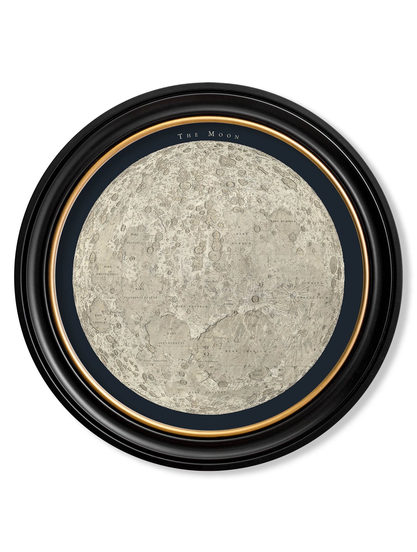 c.1800's Map of the Moon – Round detail – Leya Buster Interiors