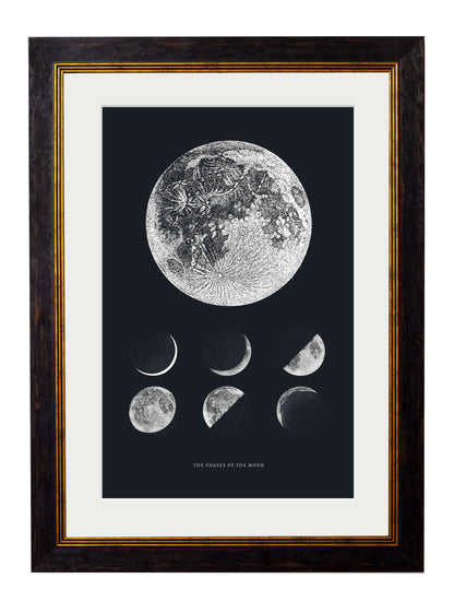 c.1800 Phases of the Moon detail – Leya Buster Interiors