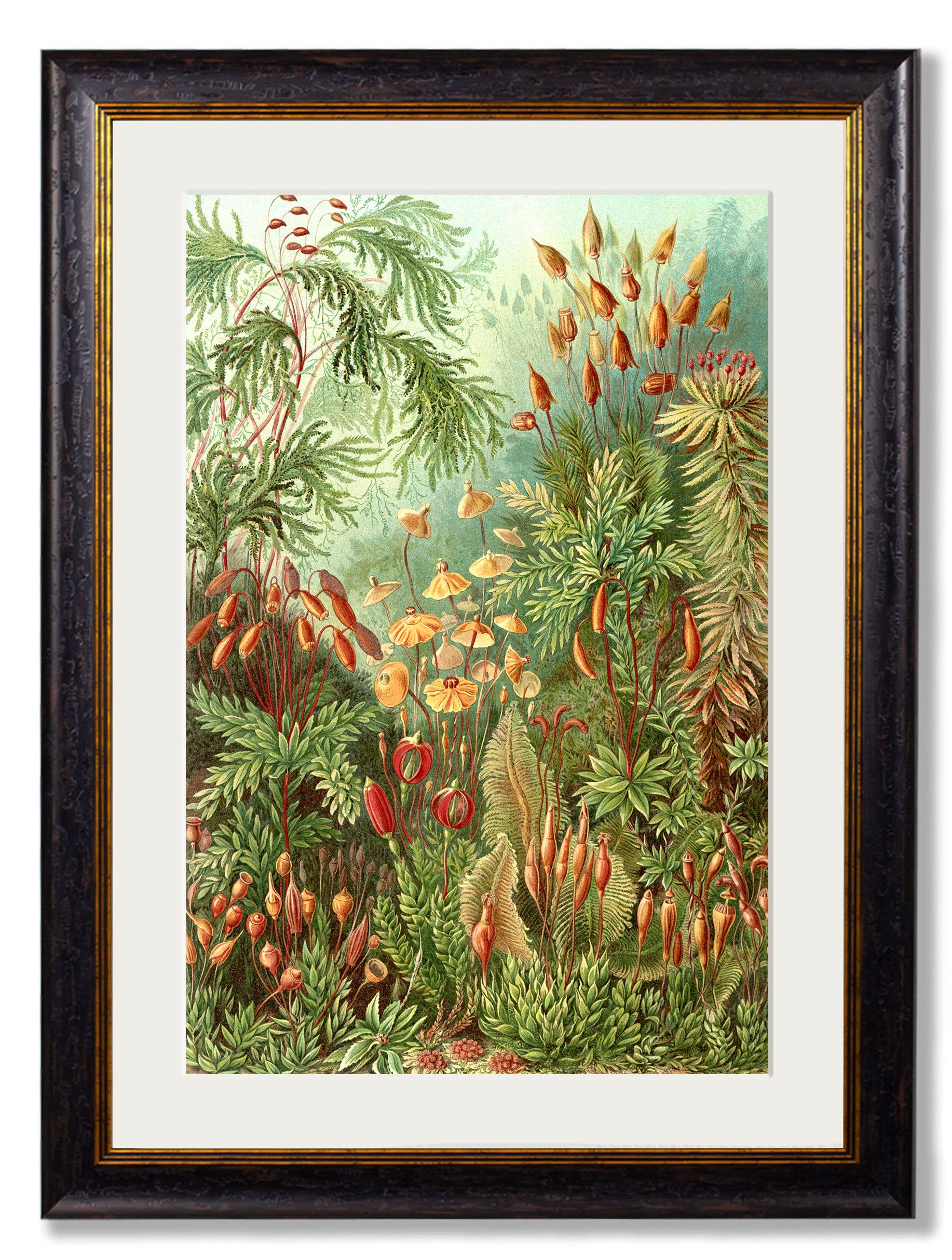 c.1904 Haeckel Flora styled view – Leya Buster Interiors