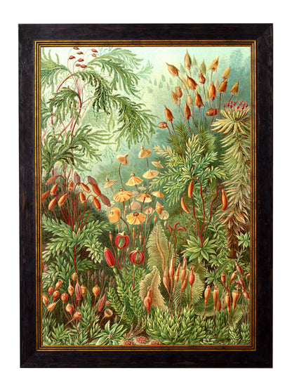 c.1904 Haeckel Flora styled view – Leya Buster Interiors